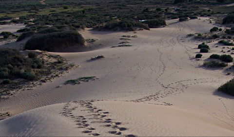 Foreshore Walk, Mungo National Park - Accommodation Bookings 0