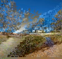 Freshwater Creek Track Byfield National Park - Accommodation Bookings