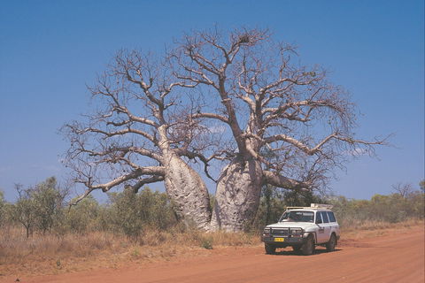 Gibb River Road - Accommodation Bookings 2