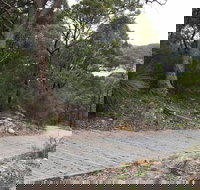 Great North Walk  Ku-ring-gai Chase National Park - Accommodation Bookings