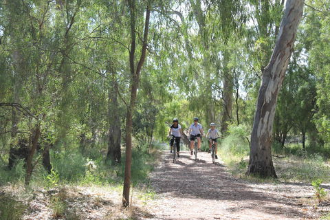 Hay Free Push Bikes - Accommodation Bookings 0