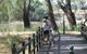 Hay Free Push Bikes - thumb 2