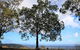 Heaton State Forest - Watagan Mountains - thumb 2