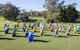 Hello Koalas Sculpture Trail - thumb 0
