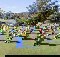 Hello Koalas Sculpture Trail - Accommodation Bookings