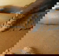 Hermannsburg Potters - Accommodation Bookings