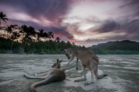 How To Holiday On The Hibiscus Coast With Your Family - Accommodation Bookings 0