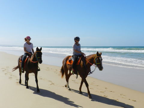 Inskip Peninsula Recreation Area - Accommodation Bookings 2