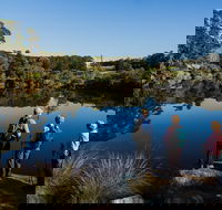Kalgan River - Accommodation Bookings