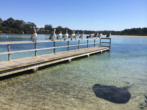 Kayaking Tomaga River - Accommodation Bookings 2