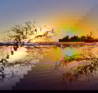 Lake Dyer