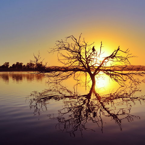 Lake Dyer - Accommodation Bookings 0