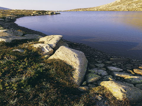 Lake Cootapatamba - Accommodation Bookings 0