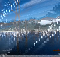 Lake Gordon - Lake Pedder - Strathgordon - Accommodation Bookings
