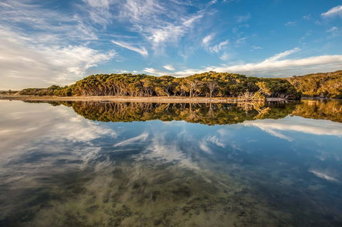 Lashmar Conservation Park - Accommodation Bookings 0