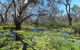 Macquarie Valley Trails - thumb 0