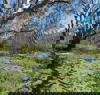 Macquarie Valley Trails - Accommodation Bookings