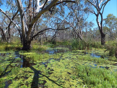 Macquarie Valley Trails - Accommodation Bookings 0