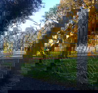 Mansfield Botanic Park - Accommodation Bookings