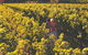 Margaret River Certified Organic And Biodynamic Wine Trail - thumb 2