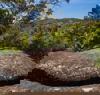 Marramarra Ridge to Smugglers Ridge walking track - Accommodation Bookings