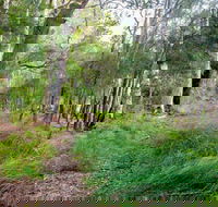 Meroo Lake walking track - Accommodation Bookings
