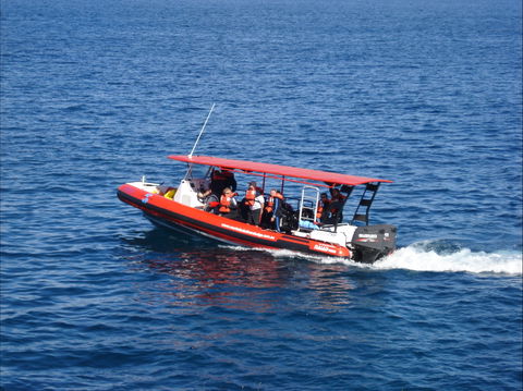 Merimbula Divers Lodge - Accommodation Bookings 1