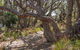 Middle Lagoon Walking Track - thumb 0