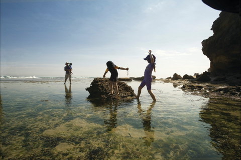 Mornington Peninsula National Park - Accommodation Bookings 2