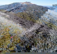 Mt Buller Bike Park - Accommodation Bookings