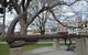 Nelson Place - Williamstown - thumb 1