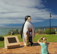 Penguin - Accommodation Bookings