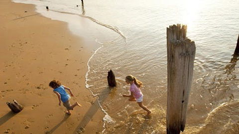 Phillip Island - Accommodation Bookings 0