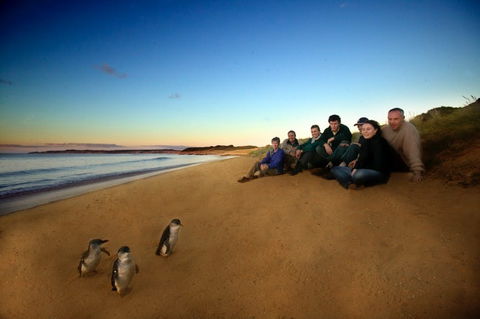 Phillip Island - Accommodation Bookings 2
