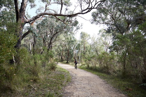 Pink Line And Loop Trail - Mountain Biking - Accommodation Bookings 1