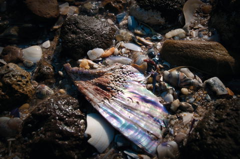 Point Cook Marine Sanctuary - Accommodation Bookings 1