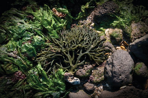 Point Cook Marine Sanctuary - Accommodation Bookings 2