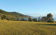 Pretty Beach To Durras Mountain Walking Track - thumb 0