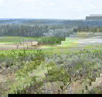 Princess Hills Girringun National Park - Accommodation Bookings