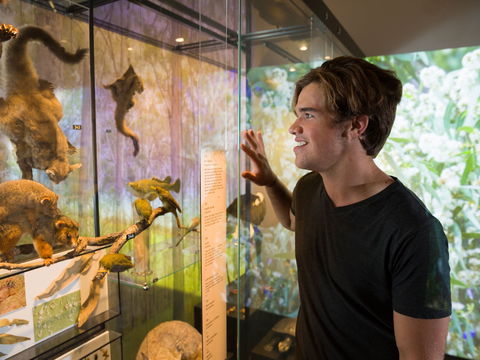 Queensland Museum - Accommodation Bookings 0