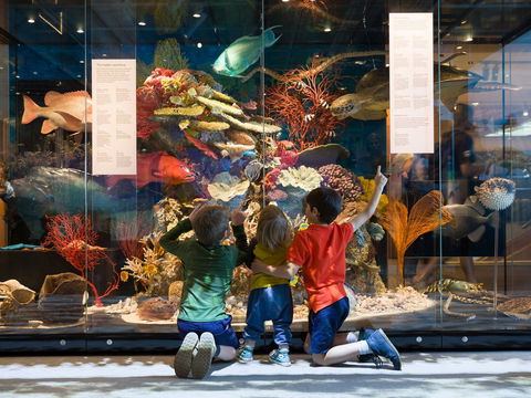 Queensland Museum - Accommodation Bookings 1