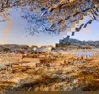 Rennix walking track - Accommodation Bookings