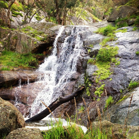 Salisbury Falls Walk - Accommodation Bookings 1