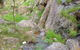 Salisbury Falls Walk - thumb 2