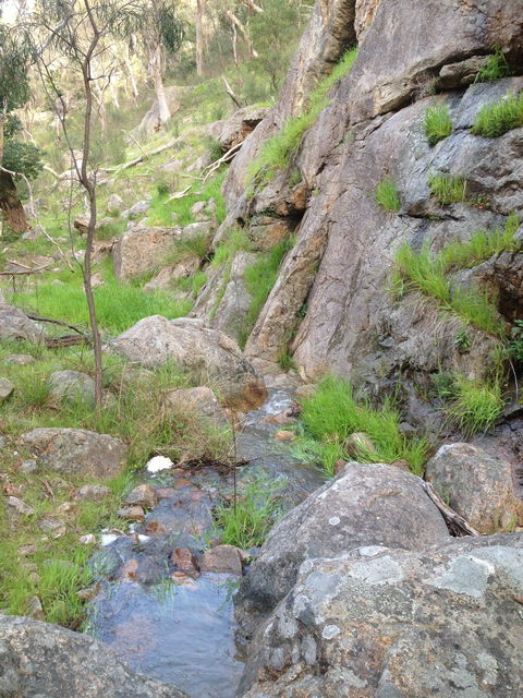 Salisbury Falls Walk - Accommodation Bookings 2