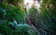 Scenic World Blue Mountains - thumb 0