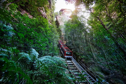 Scenic World Blue Mountains - Accommodation Bookings 0