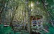Scenic World Blue Mountains - thumb 2