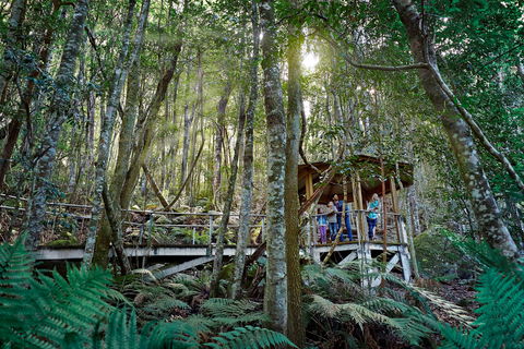 Scenic World Blue Mountains - Accommodation Bookings 2