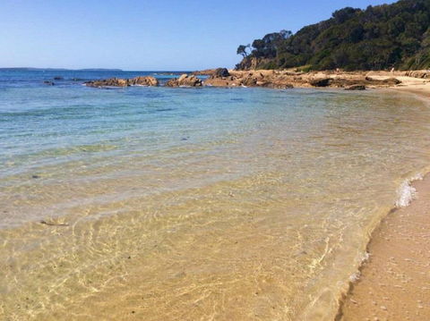 Shelly Beach Picnic Area - Moruya Heads - Accommodation Bookings 0
